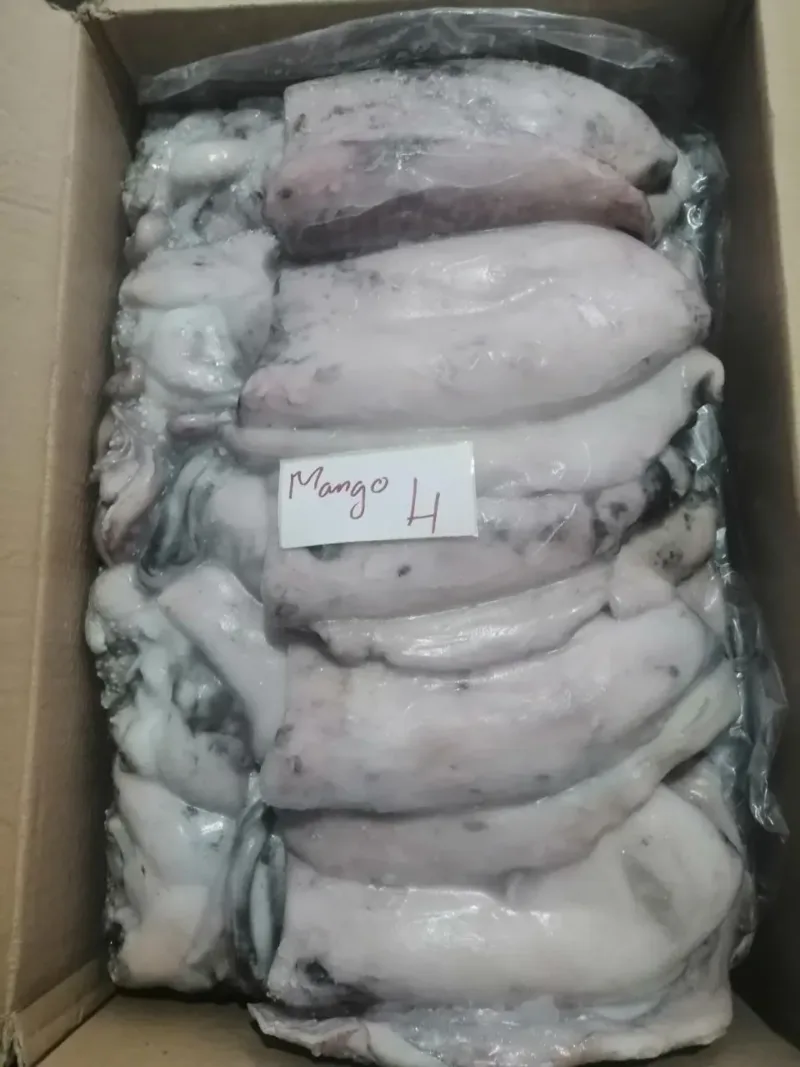 Cuttlefish (Choco) - Image 5