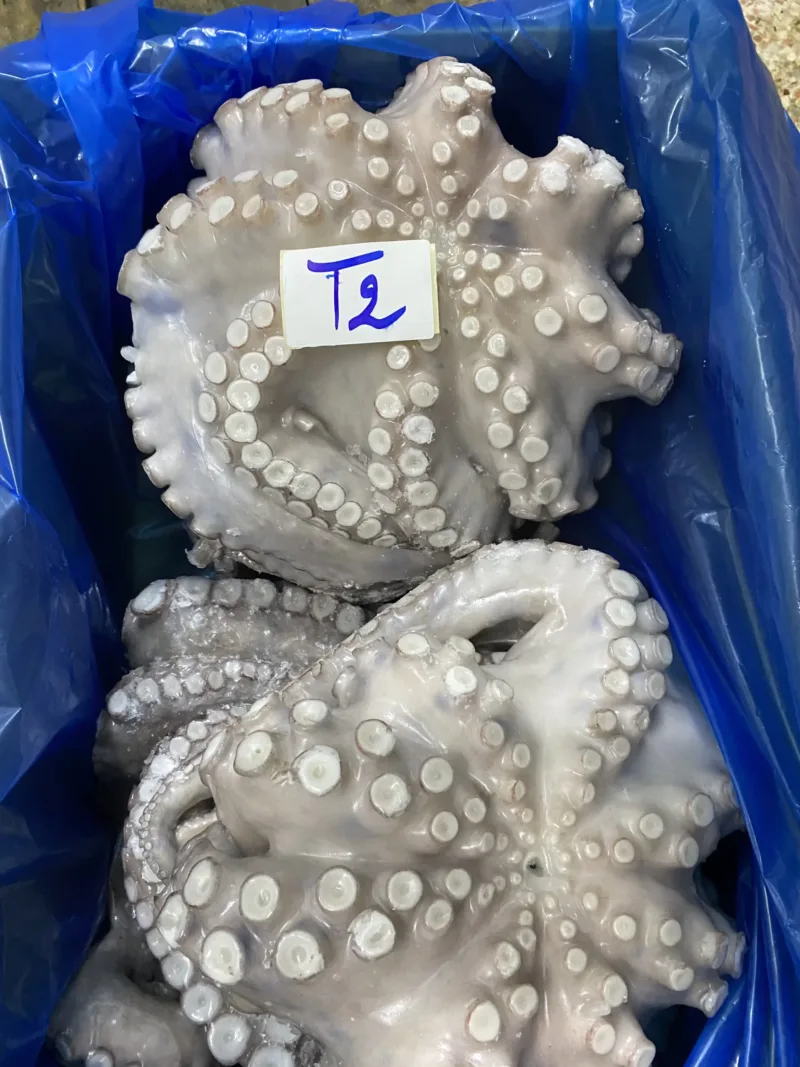 Poulpe (pulpo)
